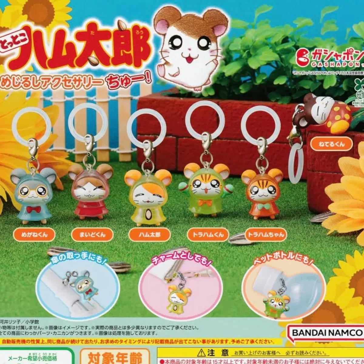 thumbnail-1